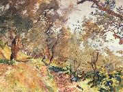 John Singer Sargent Trees on the Hillside at Majorca Norge oil painting reproduction